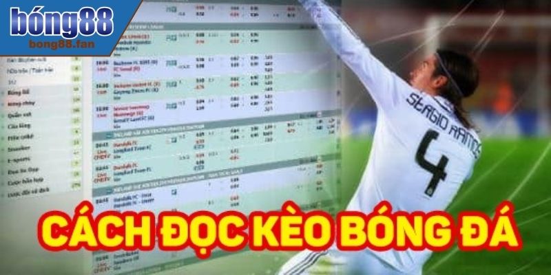 Cách Đọc Kèo Châu Âu BONG88 Chuyên Nghiệp Cần Nắm Vững 1 Hướng dẫn cách đọc kèo châu Âu trên bảng cược BONG88 chi tiết