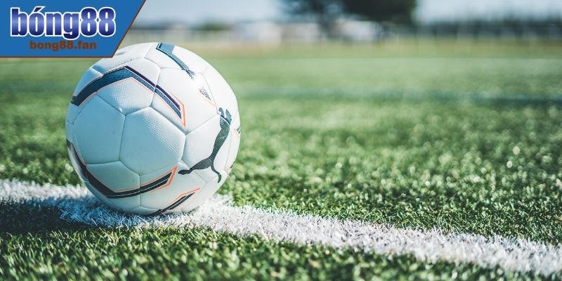 Những dạng cược không nên chơi mà hội viên nên bỏ qua