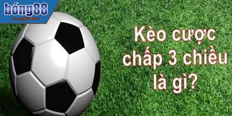 Tìm Hiểu Cược Chấp 3 Chiều BONG88 Và Cách Chơi Hiệu Quả 2 Hướng dẫn chơi cược chấp 3 chiều và cách bắt kèo hiệu quả